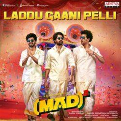 Laddu Gaani Pelli.mp3